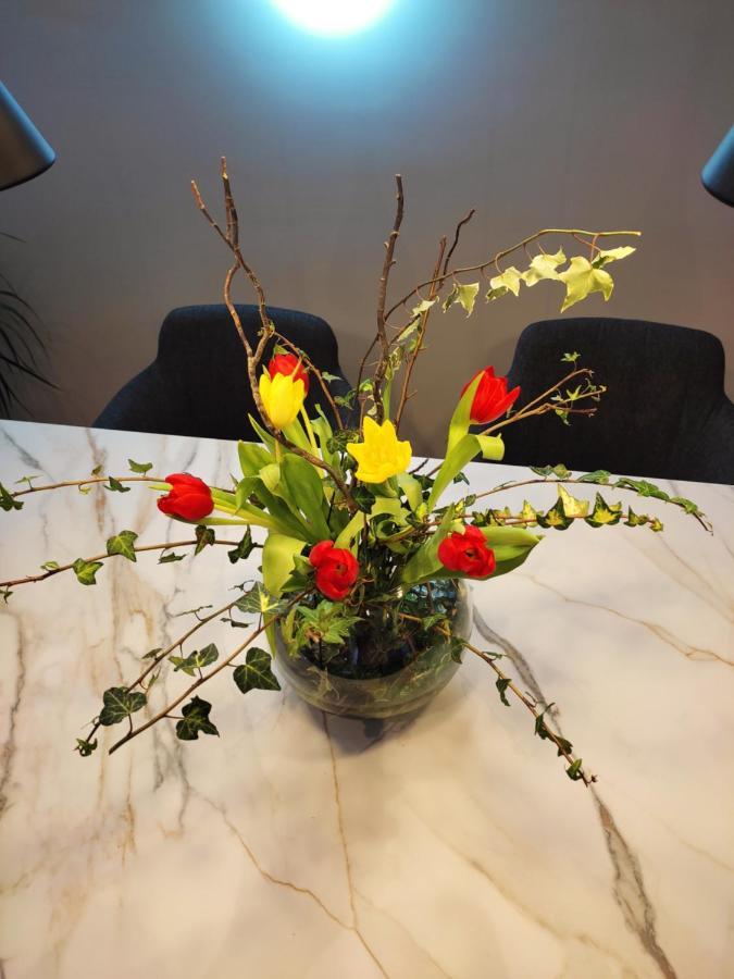 Apartment Nino Luxury