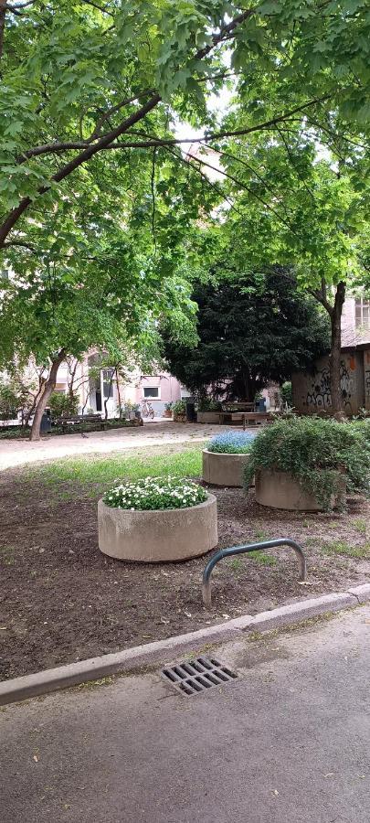 Apartment Nino Luxury